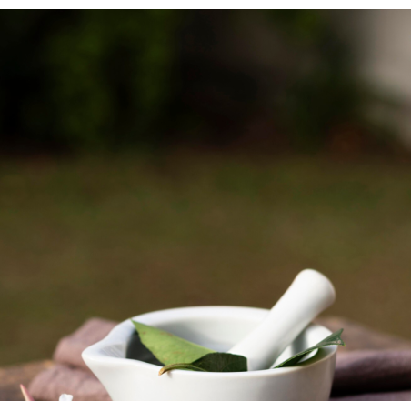 Tasse de café - Maison Marina